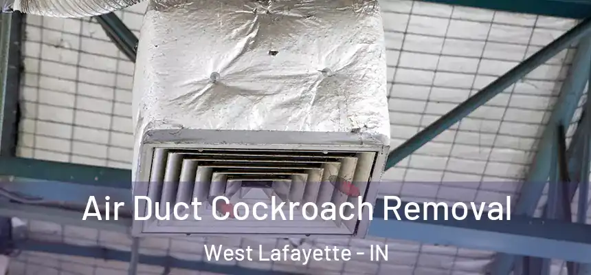 Air Duct Cockroach Removal West Lafayette - IN