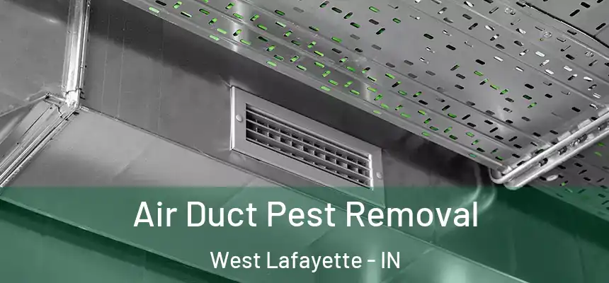  Air Duct Pest Removal West Lafayette - IN