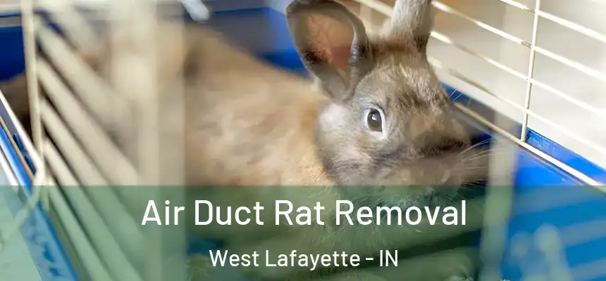 Air Duct Rat Removal West Lafayette - IN