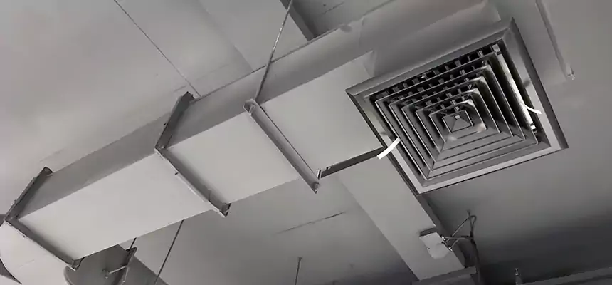 Restorative Allergy Relief Vent Cleaning – Coil, Blower & Housing Detail in West Lafayette