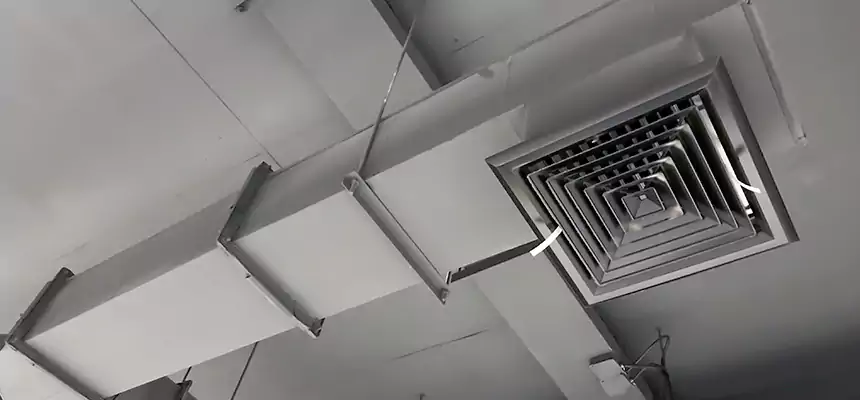 Our Rodent Droppings In Vents Services in West Lafayette, IN