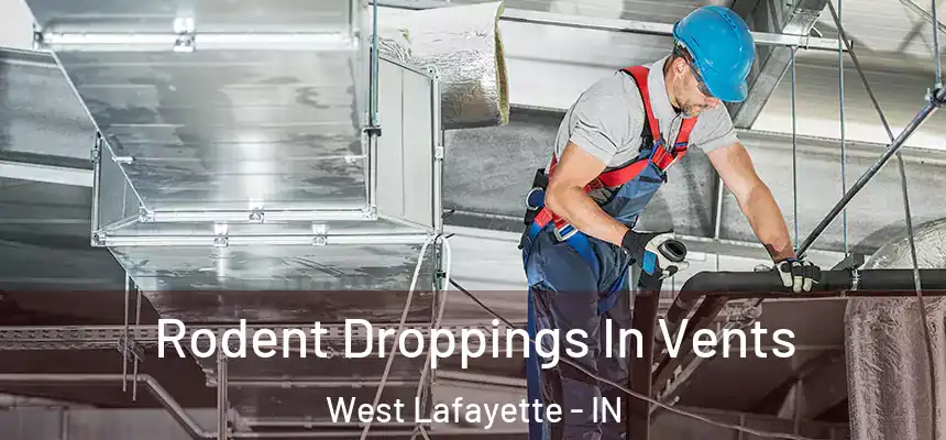  Rodent Droppings In Vents West Lafayette - IN