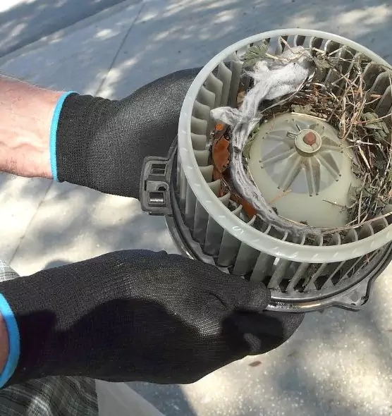 About Air Duct Mice Removal in West Lafayette, IN