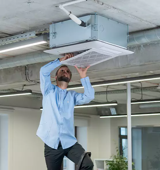 Advanced Rodent Droppings In Vents in West Lafayette, IN