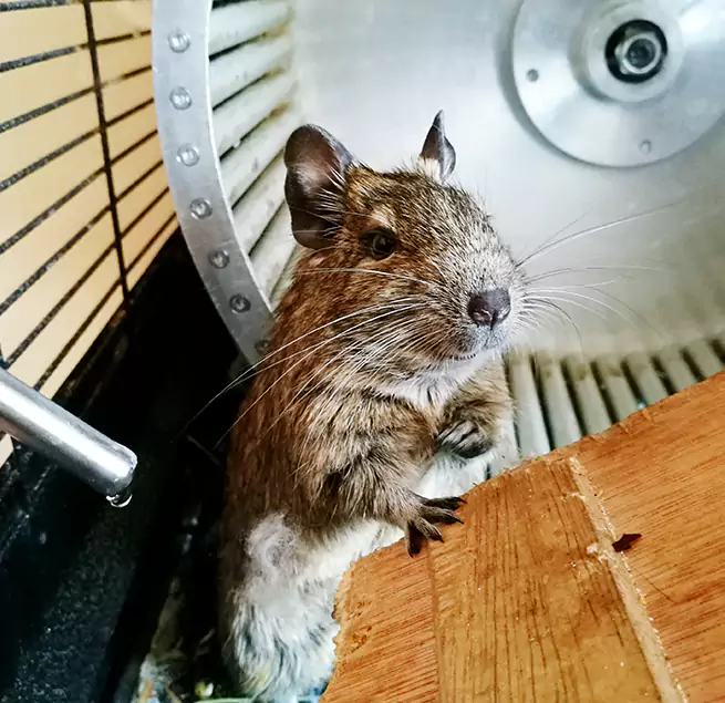 Why Homeowners & Businesses Trust Us West Lafayette, IN